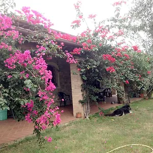 Ferienhaus Casa Santina Girasole